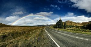 The role of milestones in successful software development